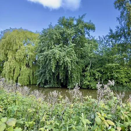 Moin - Хорумерзиль