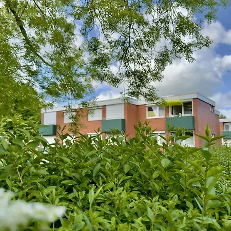 Moin - Хорумерзиль